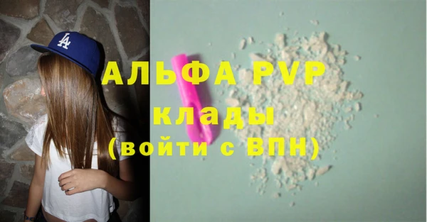 стаф Арсеньев