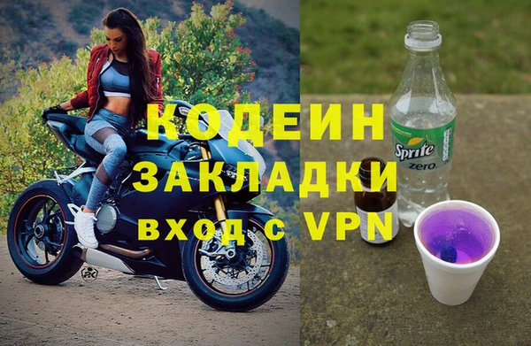 стаф Арсеньев